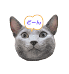 ありしゃ＆じぇら＆ふぃーろ＆いろいろ（個別スタンプ：7）