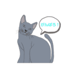 ありしゃ＆じぇら＆ふぃーろ＆いろいろ（個別スタンプ：13）