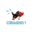 ゆずとあずき（個別スタンプ：10）