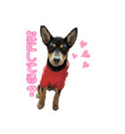 ゆずとあずき（個別スタンプ：11）