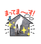 にゃんこ特集（個別スタンプ：2）