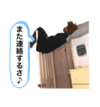 ワサビカルチャ（個別スタンプ：36）