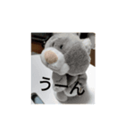 うちの家のねこスタンプ（個別スタンプ：8）
