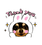 我が家のお犬様 .01（個別スタンプ：4）