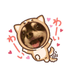 我が家のお犬様 .01（個別スタンプ：14）