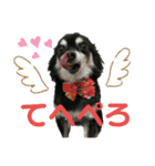 我が家のお犬様 .01（個別スタンプ：15）