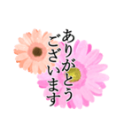 ちょこっとガーベラ（個別スタンプ：2）