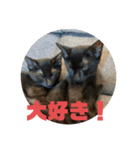 黒猫コンビ（個別スタンプ：6）