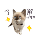 あざと王子おもち（個別スタンプ：7）