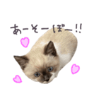 あざと王子おもち（個別スタンプ：10）