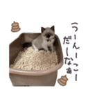 あざと王子おもち（個別スタンプ：16）