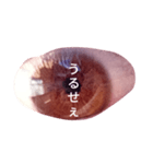 目文字入りスタンプ（個別スタンプ：15）