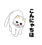 【ねこ語】楽しい白ねこスタンプ（個別スタンプ：2）