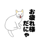 【ねこ語】楽しい白ねこスタンプ（個別スタンプ：9）