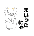 【ねこ語】楽しい白ねこスタンプ（個別スタンプ：10）