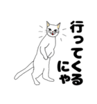 【ねこ語】楽しい白ねこスタンプ（個別スタンプ：12）