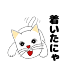 【ねこ語】楽しい白ねこスタンプ（個別スタンプ：14）