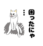 【ねこ語】楽しい白ねこスタンプ（個別スタンプ：17）