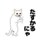 【ねこ語】楽しい白ねこスタンプ（個別スタンプ：18）