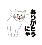 【ねこ語】楽しい白ねこスタンプ（個別スタンプ：19）