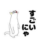 【ねこ語】楽しい白ねこスタンプ（個別スタンプ：24）