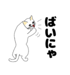 【ねこ語】楽しい白ねこスタンプ（個別スタンプ：30）