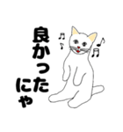 【ねこ語】楽しい白ねこスタンプ（個別スタンプ：33）