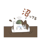 FPSにゃんこ①（個別スタンプ：17）