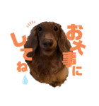 らぶぞぅ3（個別スタンプ：8）