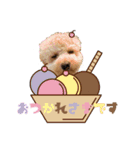 RYUJIRO♡ADERA（個別スタンプ：2）