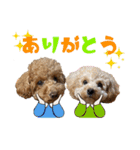 RYUJIRO♡ADERA（個別スタンプ：3）
