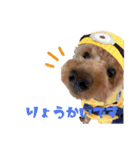 RYUJIRO♡ADERA（個別スタンプ：7）