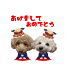 RYUJIRO♡ADERA（個別スタンプ：14）