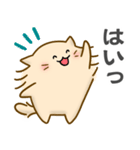 マンチカン猫のもんちゃん（個別スタンプ：4）