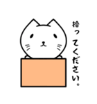 ねこ かわいい敬語スタンプ（個別スタンプ：6）