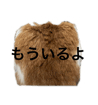 チョロちゃん 2（個別スタンプ：12）