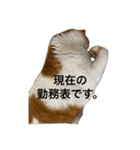 チョロちゃん 2（個別スタンプ：19）