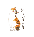 水彩で描いたネコだらけスタンプ（個別スタンプ：19）