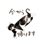 水彩で描いたネコだらけスタンプ（個別スタンプ：26）