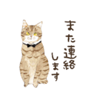 水彩で描いたネコだらけスタンプ（個別スタンプ：30）