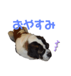 ベンくん★スタンプ（個別スタンプ：2）