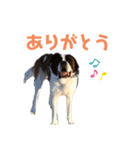 ベンくん★スタンプ（個別スタンプ：3）