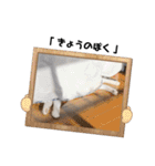 おとまるといっしょ2（個別スタンプ：15）