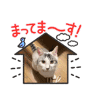 おとまるといっしょ2（個別スタンプ：29）
