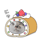 おとまるといっしょ2（個別スタンプ：34）