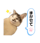 おとまるといっしょ2（個別スタンプ：39）
