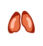 臓器と細胞たち（個別スタンプ：2）