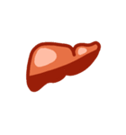 臓器と細胞たち（個別スタンプ：3）