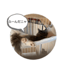 子猫のルルちゃん 2（個別スタンプ：15）