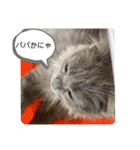子猫のルルちゃん 2（個別スタンプ：16）